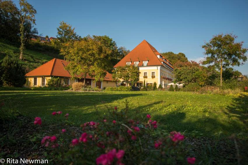 Landhotel Wachau Emmersdorf an der Donau Exterior foto